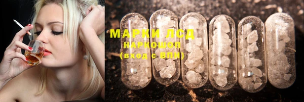 мяу мяу мука Коряжма