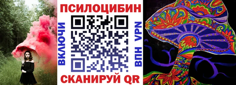 Купить  Октябрьск  Галлюциногенные грибы Psilocybine cubensis 